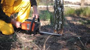 Best Lawn Drainage Solutions  in Brightwood, VA