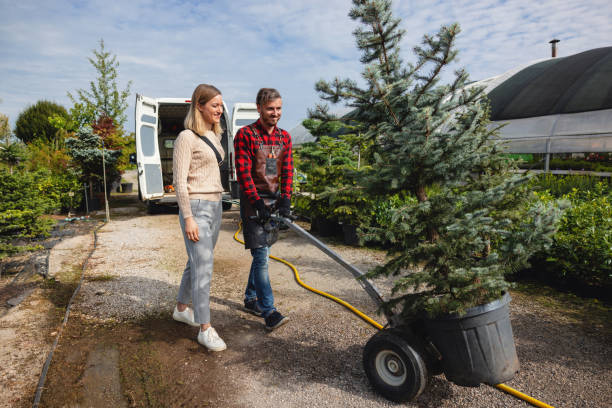 Best Organic Lawn Care Solutions  in Brightwood, VA